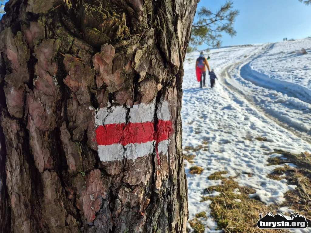 Rozległe zaśnieżone pola na podejściu pod Maciejową w Rabce, dawny stok narciarski.