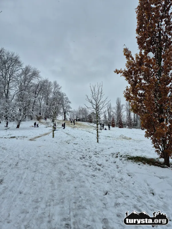 Park Strzelecki w Tarnowie – idealne miejsce na sanki z dzieckiem.