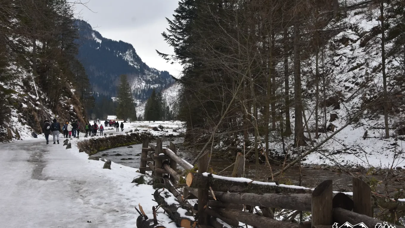 Ośnieżony szlak z wiatrołomami – TPN zamknięty z powodu niebezpiecznych warunków.