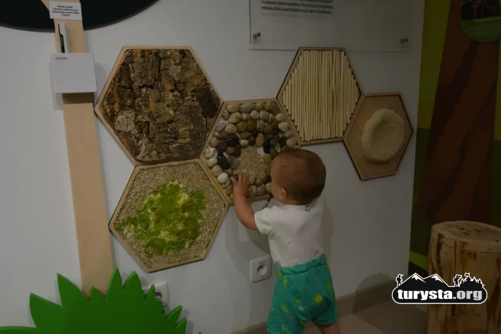 Małe dziecko bawi się drewnianą tablicą sensoryczną na edukacyjnej wystawie w MCEE w Ciężkowicach.