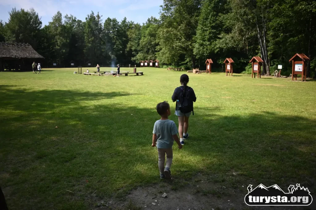Widok na dużą, trawiastą polanę edukacyjną z wiatami, tłem jest las.