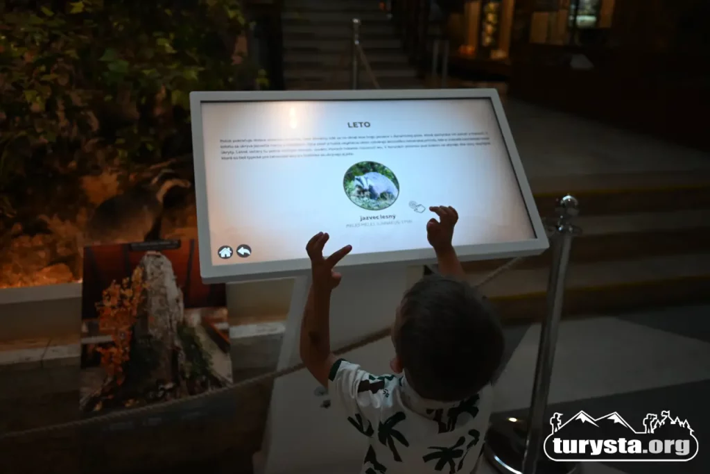 Dziecko korzystające z interaktywnego ekranu multimedialnego na ekspozycji w Muzeum TANAP