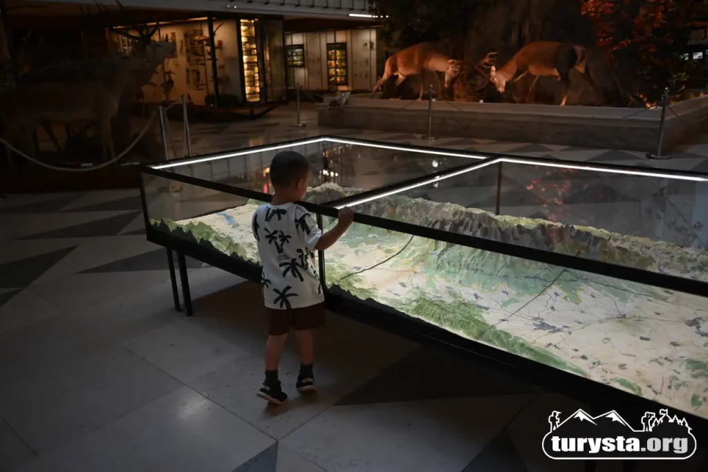 Duża trójwymiarowa mapa plastyczna pasma Tatr w sekcji geologicznej muzeum