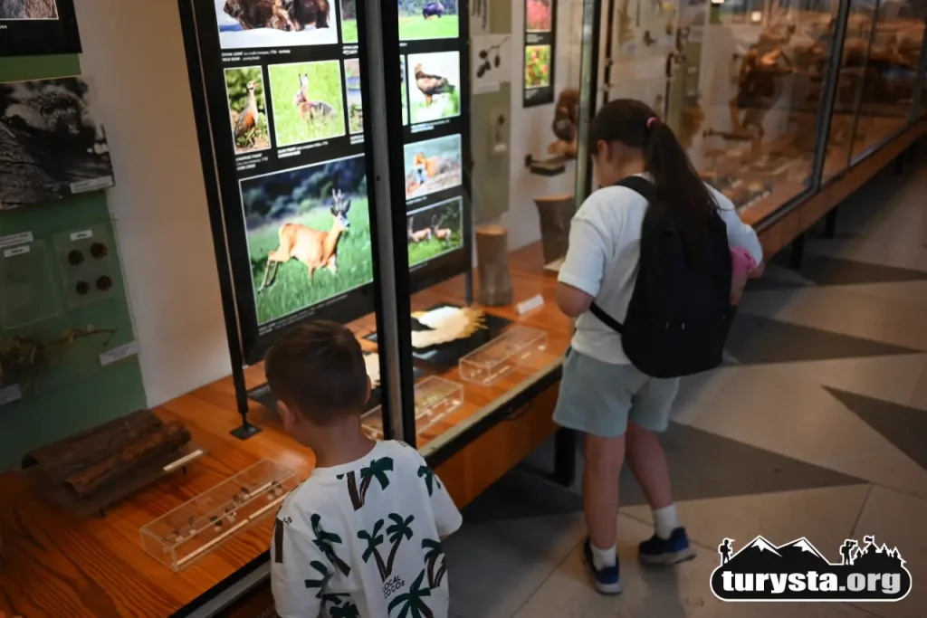 Dzieci z zainteresowaniem oglądające eksponaty w Muzeum Tatrzańskiego Parku Narodowego