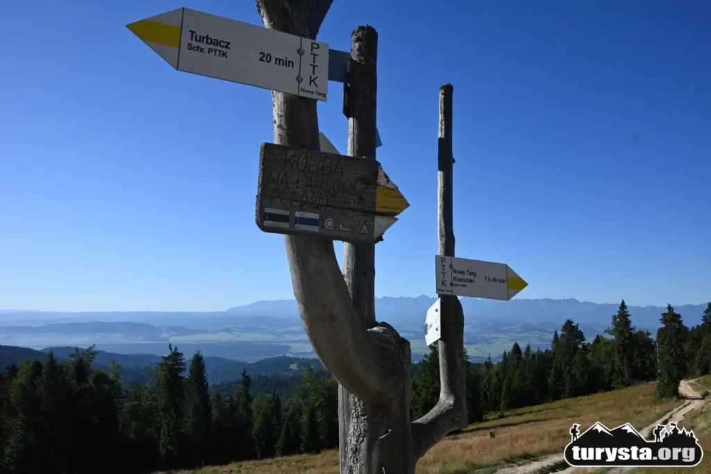 Drewniane drogowskazy turystyczne na tle panoramy górskiej w Gorcach