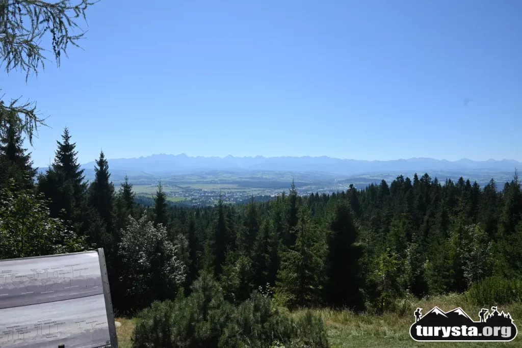 Rozległy widok na Tatry i lasy ze stoku na Łapsowej Polanie
