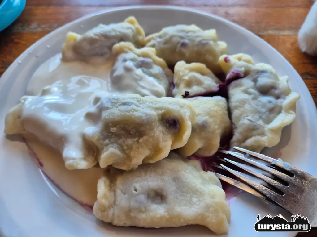 Porcja tradycyjnych pierogów z jagodami leśnymi w schronisku PTTK na Turbaczu