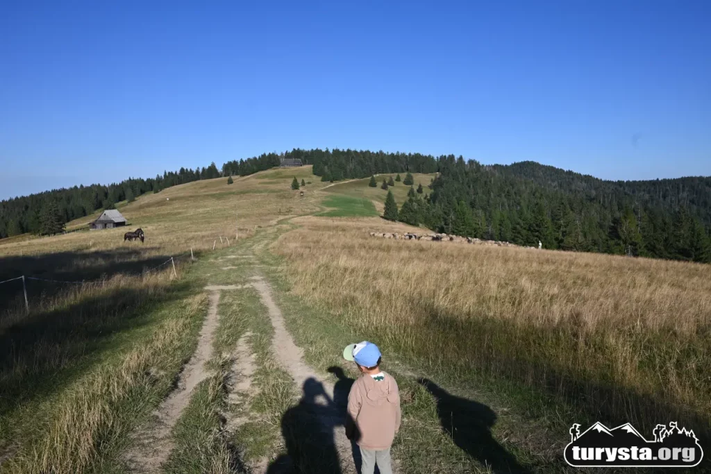 Malownicza panorama otwartej przestrzeni w okolicy Turbacza