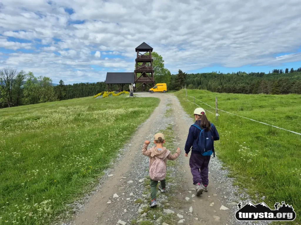 Dzieci zbliżające się ubitą, leśną drogą do otwartej wieży widokowej na Marysinej Polanie.